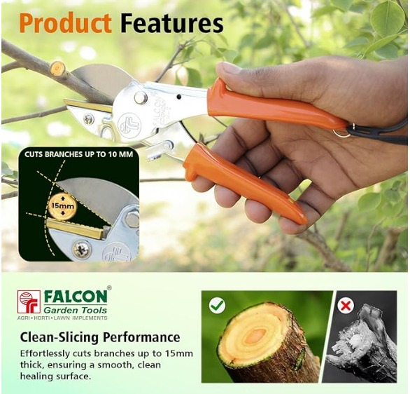 FALCON Pruning Secateurs Economy M2 with 10mm Cutting Capacity Stainless Steel PVC Grip Handle Heavy Duty Pruner Gardening Scissor Plant and Branch Cutter Shears Tool for Home Garden (Pack of 1) thumbnail 4