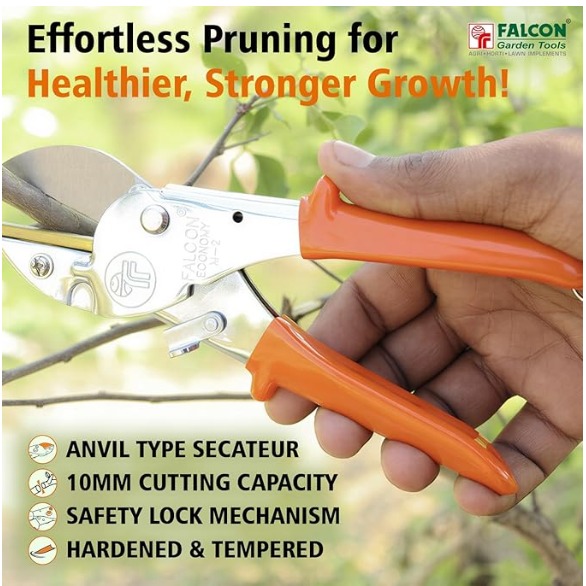 FALCON Pruning Secateurs Economy M2 with 10mm Cutting Capacity Stainless Steel PVC Grip Handle Heavy Duty Pruner Gardening Scissor Plant and Branch Cutter Shears Tool for Home Garden (Pack of 1) thumbnail 6