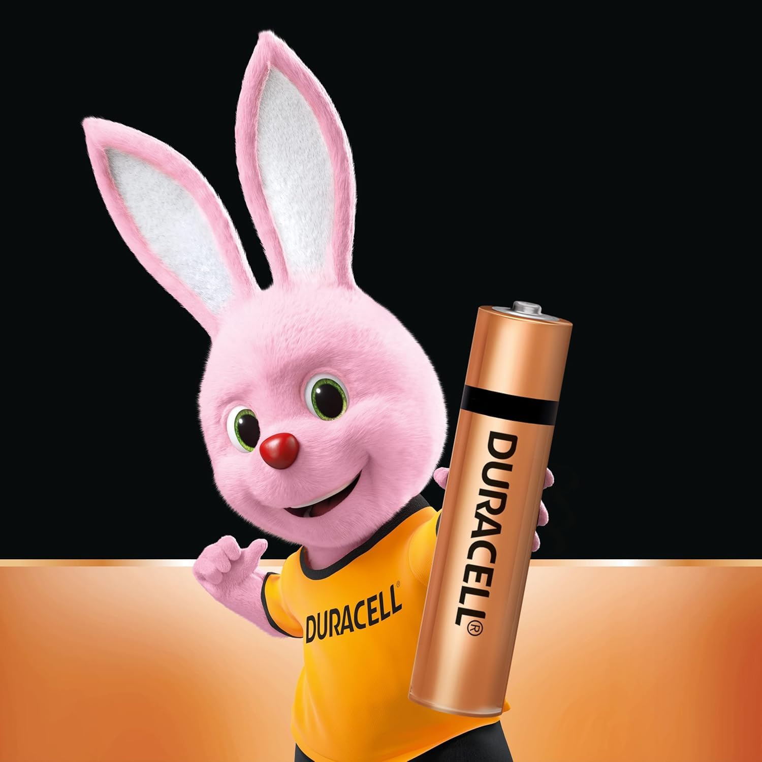Duracell AA Alkaline Batteries (Pack of 12) | 1.5V Long Lasting Power | 5X Longer Performance | Ideal for Remote, Toys, Clocks & Gadgets thumbnail 2